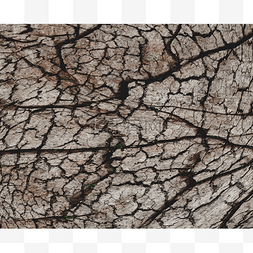 干燥干燥图片_环境干燥干涸土地