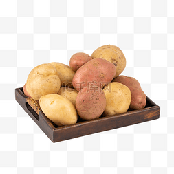 有机蔬菜土豆