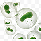 绿色细胞3d立体元素