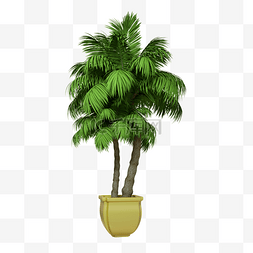 角落植物图片_花盆椰子树盆栽热带