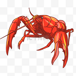 小龙虾钳子图片_红色动物小龙虾