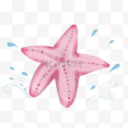 粉色海星图片_粉色海洋海星插画