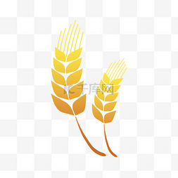 麦穗素材图片_金黄麦穗图标