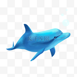跳动的海豚图片_蓝色海豚动物