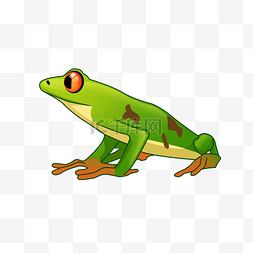 绿色手绘青蛙图片_绿色斑点小青蛙PSD透明底