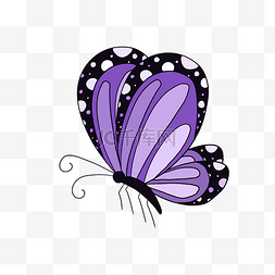 紫色黑边蝴蝶 