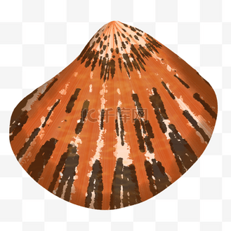 海底生物图片素材_油画海扇蛤贝壳海底生物动物