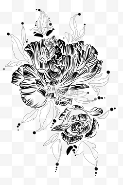 花卉黑白图片_黑白花卉插画