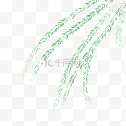 纹理柳树图片_绿色创意柳树植物元素