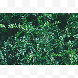 森系小清新背景图片_绿色叶子