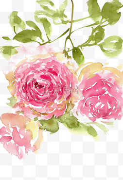 春天的水墨画图片_美丽的蔷薇花