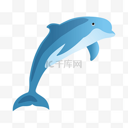 海豚你真棒图片_海洋生物海豚