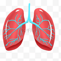 肺部吸氧图片_人体器官肺脏