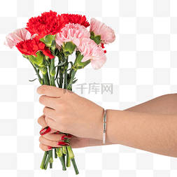 38花卉图片_女神节送花康乃馨