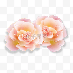 粉红色的小花图片_粉红色的两朵小花
