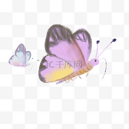 手绘昆虫两只舞动的紫色蝴蝶免抠
