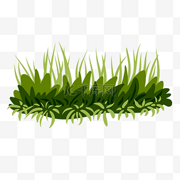 新鲜植物草地插画