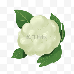 蔬菜水果图片_新鲜花菜菜市场高清免扣素材