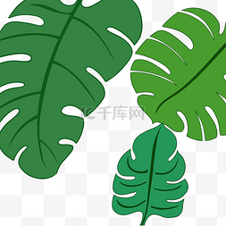 热带绿色植物手绘图片_夏季主题大叶植物手绘风格芭蕉叶