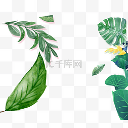 茶叶设计素材图片_绿色的枝叶植物设计