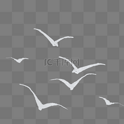 飞翔的海鸥png图片_白色的海鸥动物