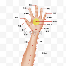 经络脉络图片_人体穴位手部图形