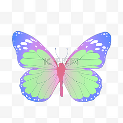创意蝴蝶插画图片_紫绿色的蝴蝶插画