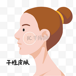 皮肤问题图图片_女性面部干性皮肤