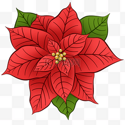 圣诞装饰花图片_精致风格圣诞一品红花朵