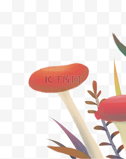 好吃的蘑菇图片_红色的蘑菇