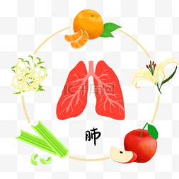中医食疗润肺