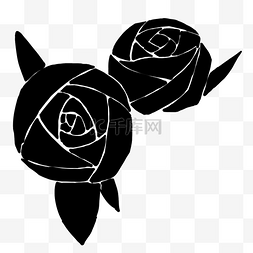 玫瑰花黑玫瑰图片_漂亮黑玫瑰