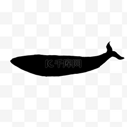 露脊鲸的剪影图标