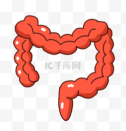 人体器官肠道插画