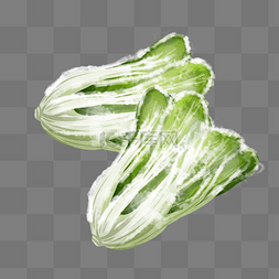 绿色的白菜图片_落霜的大白菜