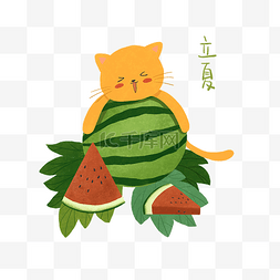 猫咪西瓜叶子