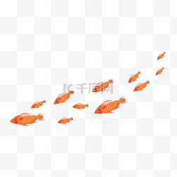 鱼群图片_海洋鱼群