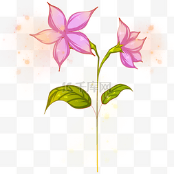 紫色花朵插画图片_盛开的紫色花朵插画