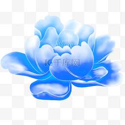 牡丹花纹图片_牡丹花纹