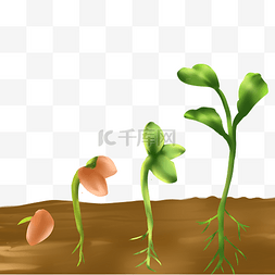 土壤嫩芽图片_春季发芽植物土壤