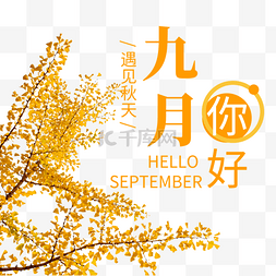 9月你好素材图片_九月你好银杏叶