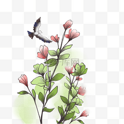 春季花枝小鸟