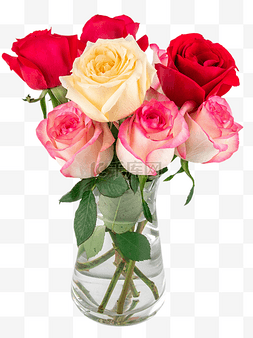 玫瑰花鲜花图片_女神节玫瑰花花瓶