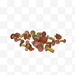 美味的菌类食物图片_红顶黄杆的小蘑菇
