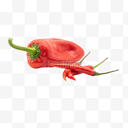 红色菜椒素材图片_红色菜椒辣椒