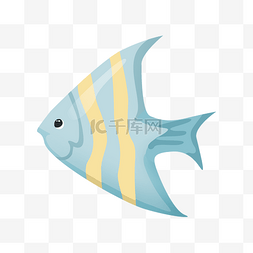 黄色蓝色三角鱼