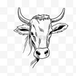 匾平画牛头图片_线描牛头动物