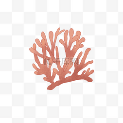 珊瑚清新图片_小清新海底红珊瑚