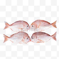 日本生鱼料理图片_日本料理红立鱼