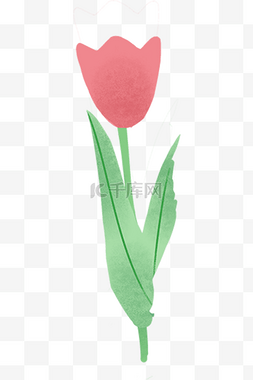 水彩手绘玫瑰花
